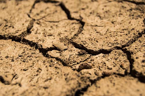 cracked and dry soil