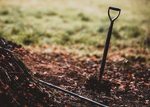 lawn aeration